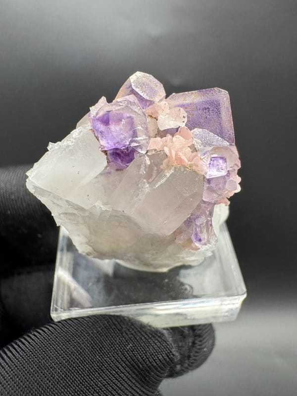 Fluorite from Wuzhou, Guangxi, China, individual mineral specimen view 5
