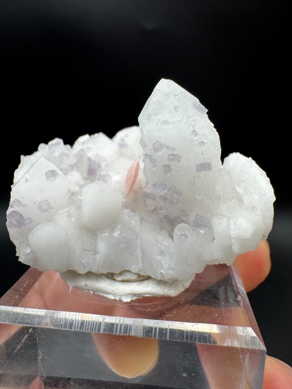 Apatite from Wuzhou, Guangxi, China, individual mineral specimen view 1