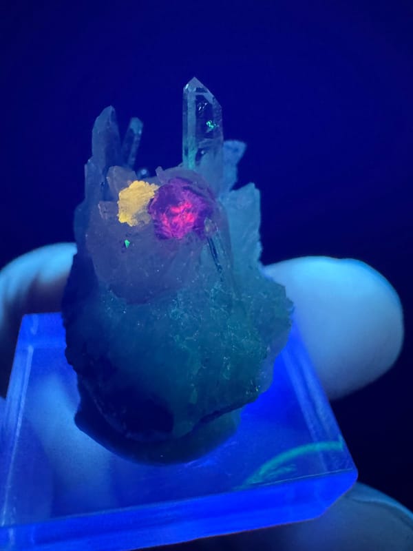 Fluorite from Wuzhou, Guangxi, China, individual mineral specimen view 2