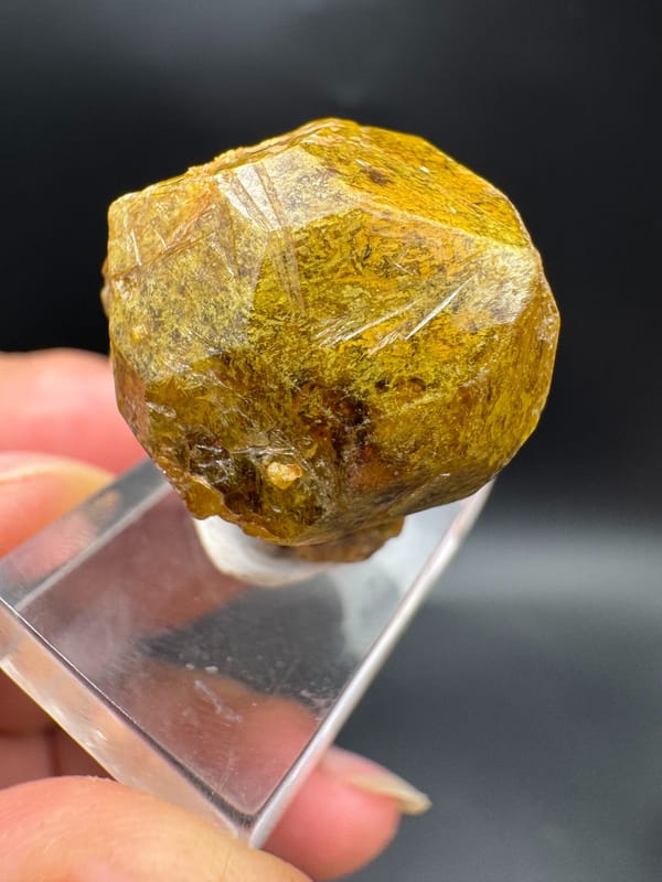 Garnet, individual mineral specimen view 8 for a mineral collection
