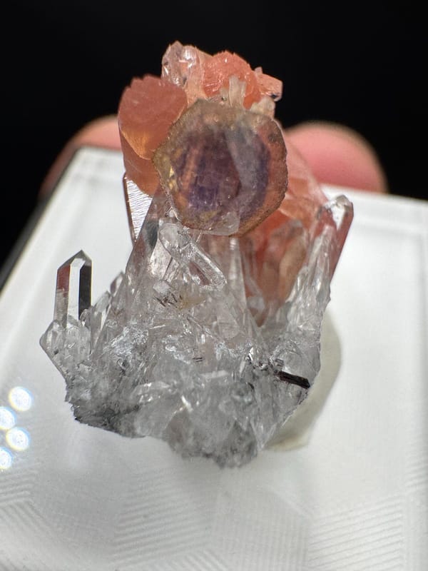 Rhodochrosite from Wuzhou, Guangxi, China, individual mineral specimen view 1