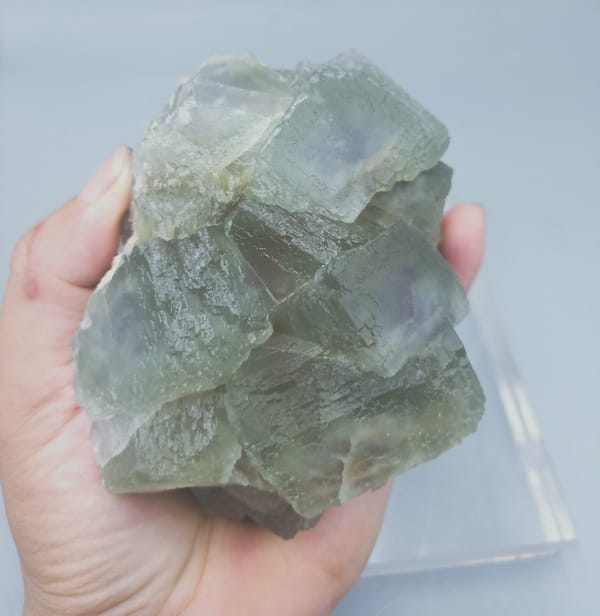 Fluorite from Fujian, China, individual mineral specimen view 5