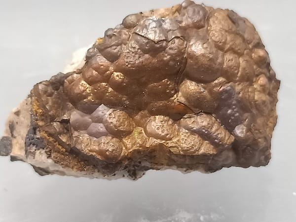 Brons-Brown rond limoniet