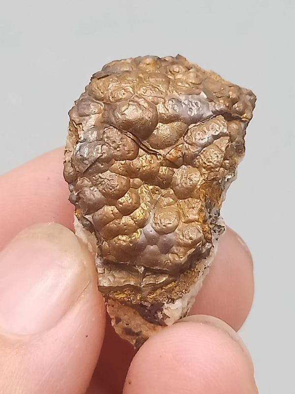 Limonite from Guangdong, China, individual mineral specimen view 4