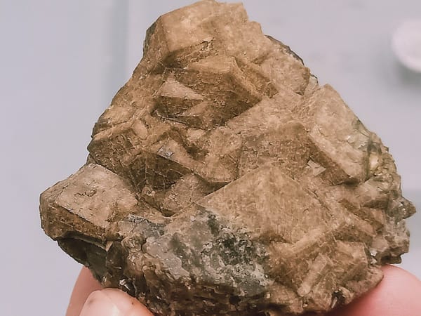 Cluster de jarrets de Tan avec visages pas à pas — Mongolie intérieure