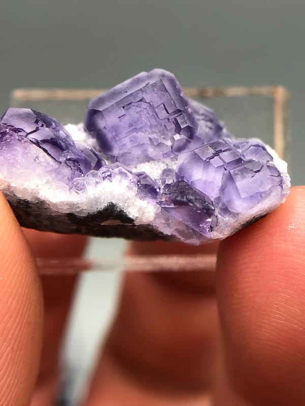 Fluorite from Fujian, China, individual mineral specimen view 6