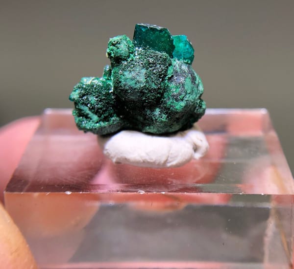 Green Dioptase above Rounded Malachite — Congo