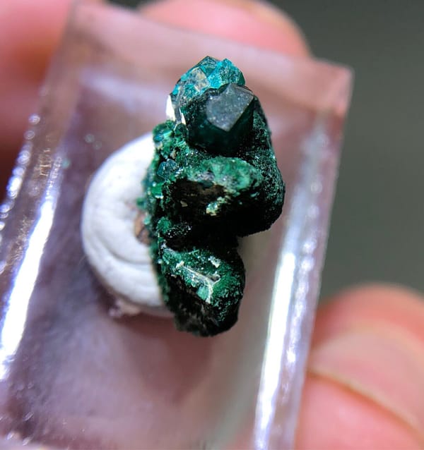 Dioptase from Congo (specific country not recorded), individual mineral specimen view 6