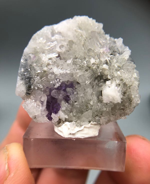 Paarse Fluoriet Zak binnen Pale Crystal Groei