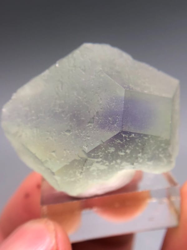 Fluorite from Fujian, China, individual mineral specimen view 2