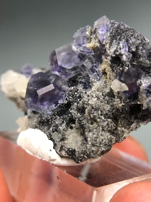 Fluorite from Fujian, China, individual mineral specimen view 5