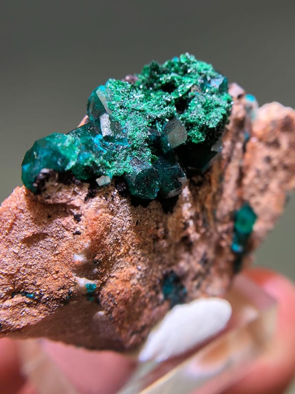 Dioptase from Congo (specific country not recorded), individual mineral specimen view 4