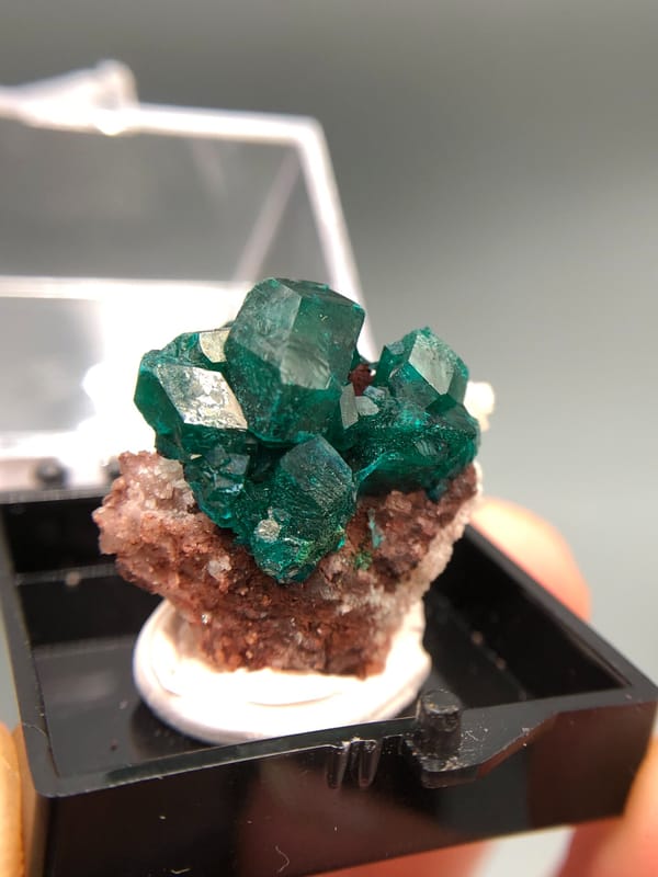 Dioptase from Congo (specific country not recorded), individual mineral specimen view 2