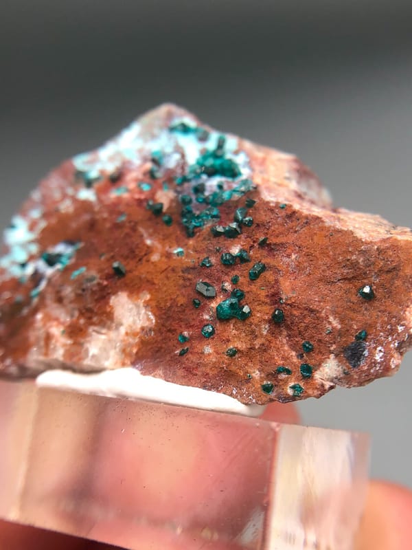Dioptase from Congo (specific country not recorded), individual mineral specimen view 2