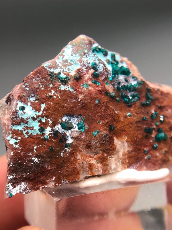Dioptase from Congo (specific country not recorded), individual mineral specimen view 4