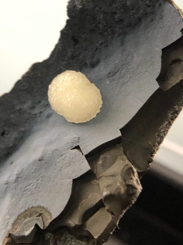 Calcite from Fujian, China, individual mineral specimen view 3