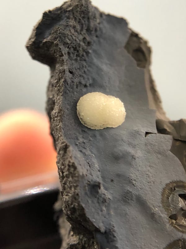 Calcite from Fujian, China, individual mineral specimen view 5