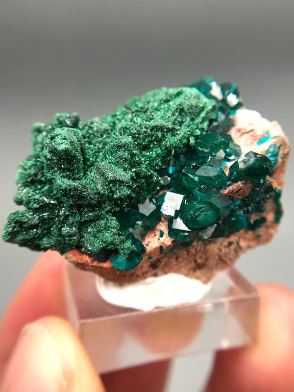 Dioptase from Congo (specific country not recorded), individual mineral specimen view 1