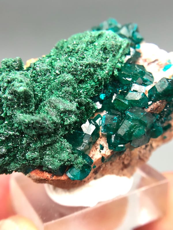 Dioptase from Congo (specific country not recorded), individual mineral specimen view 2