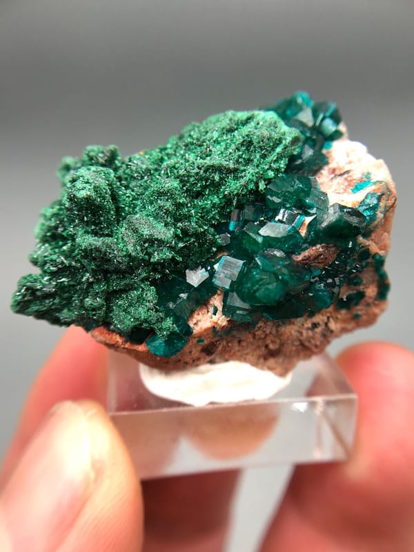 Dioptase from Congo (specific country not recorded), individual mineral specimen view 3