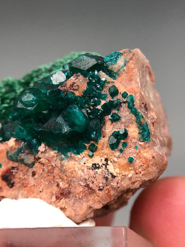 Dioptase from Congo (specific country not recorded), individual mineral specimen view 4