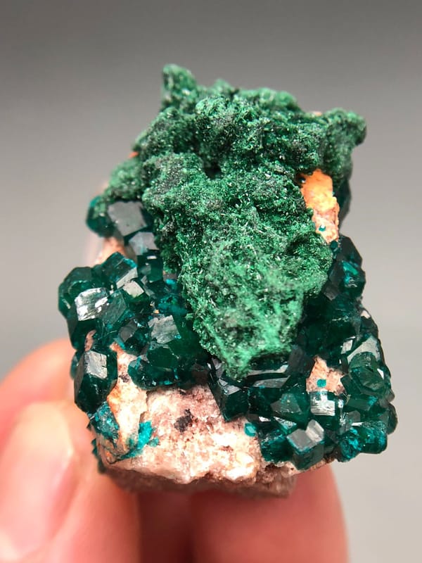 Dioptase from Congo (specific country not recorded), individual mineral specimen view 5