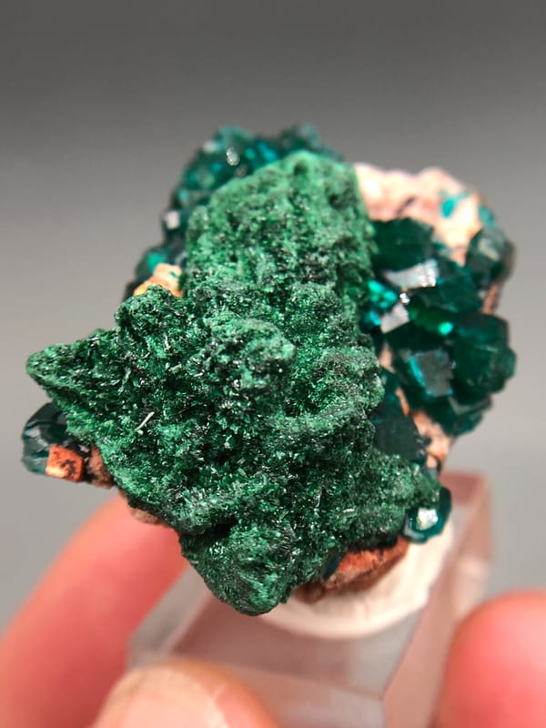 Dioptase from Congo (specific country not recorded), individual mineral specimen view 6