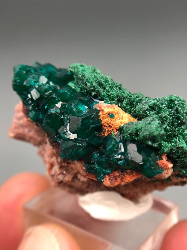 Dioptase from Congo (specific country not recorded), individual mineral specimen view 7