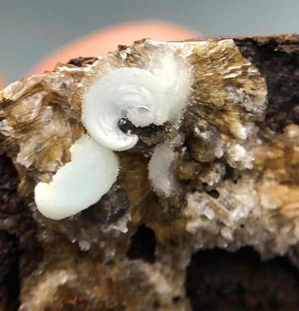 Hemimorphite from Arizona, USA, individual mineral specimen view 5
