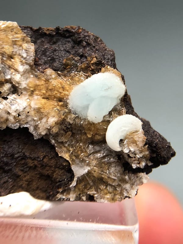 Hemimorphite from Arizona, USA, individual mineral specimen view 7