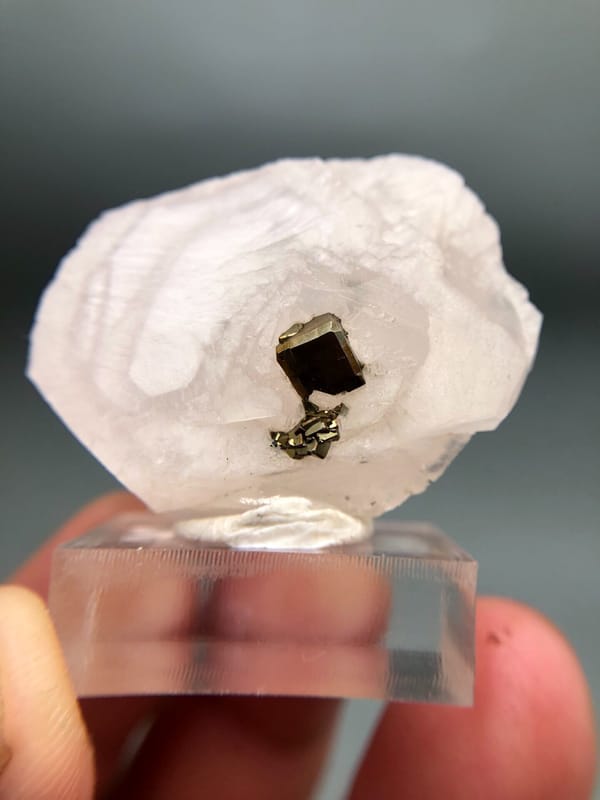 Cubo de un solo pirita en caras de calcita pálido