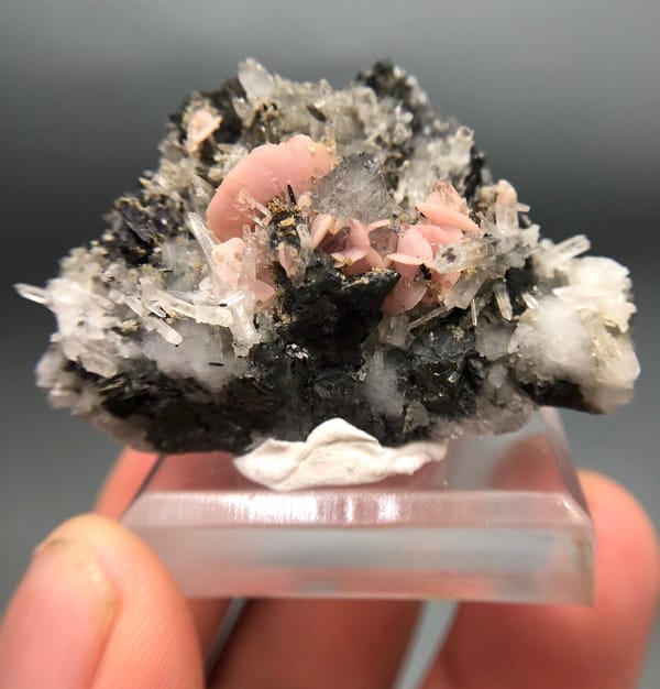 Pink Rhodochrosite Fans among Quartz and Dark Minerals