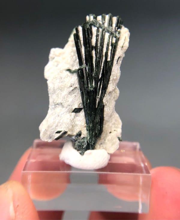 Dunkelgrüne Actinolith-Klinge auf Pale Matrix