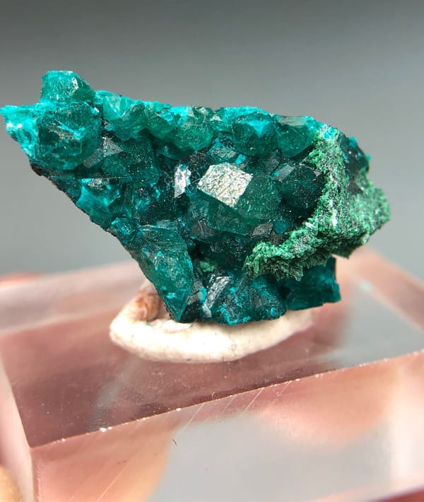Dioptase from DR Congo, individual mineral specimen view 2