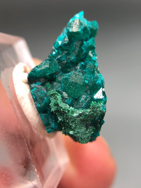 Dioptase from DR Congo, individual mineral specimen view 4