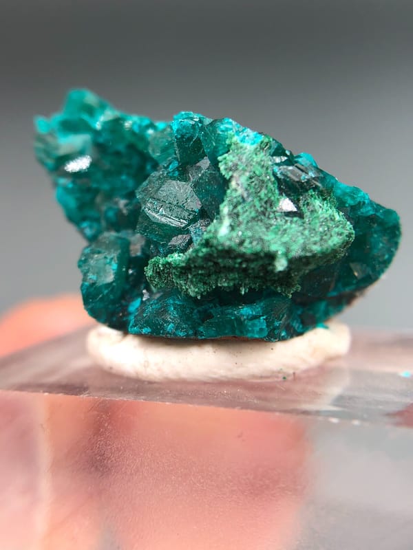Dioptase from DR Congo, individual mineral specimen view 5