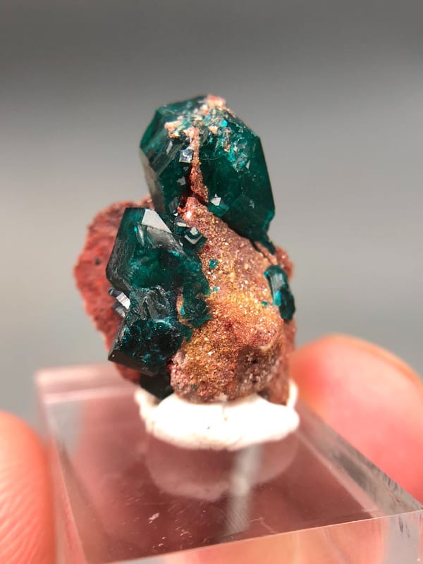 Dioptase from DR Congo, individual mineral specimen view 4