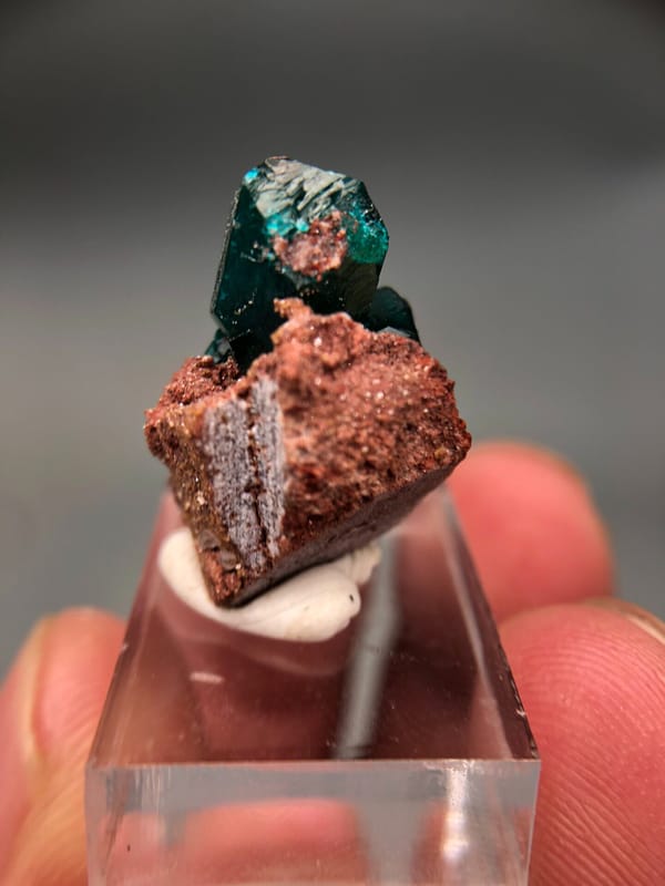 Dioptase from DR Congo, individual mineral specimen view 7