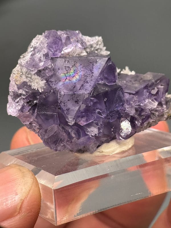 Fluorite from Fujian, China, individual mineral specimen view 2