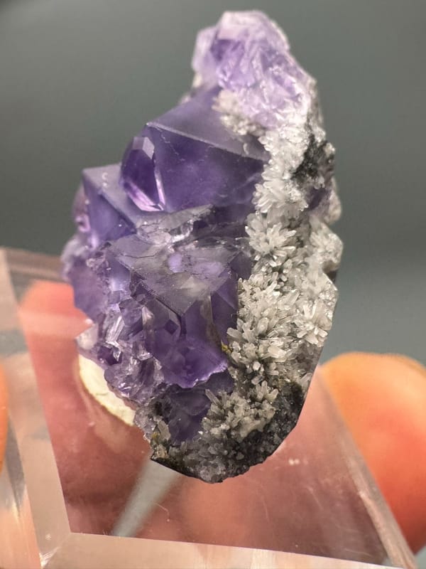 Fluorite from Fujian, China, individual mineral specimen view 4