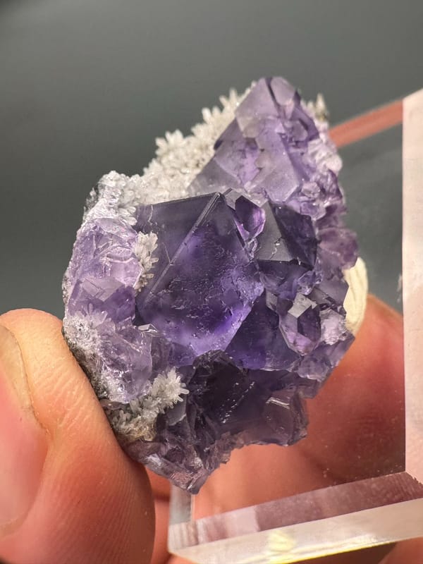 Fluorite from Fujian, China, individual mineral specimen view 6