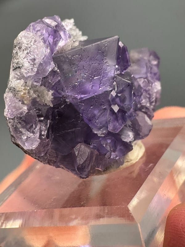 Fluorite from Fujian, China, individual mineral specimen view 7