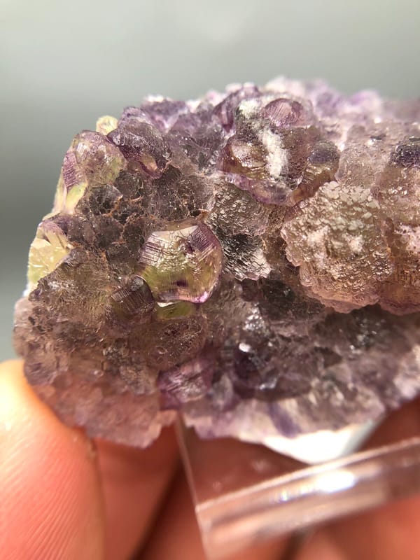 Fluorite from Liaoning, China, individual mineral specimen view 5