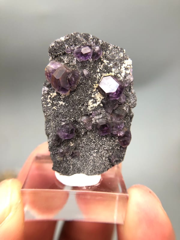 坦贊巖藍色改性流星體