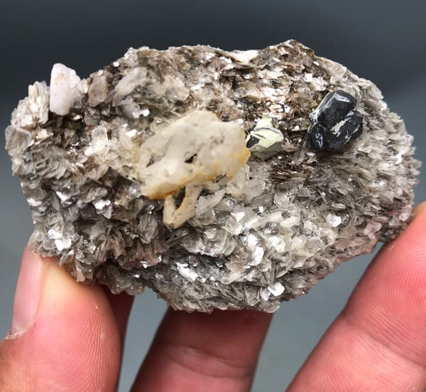 خط استواء مع Mica وQQ