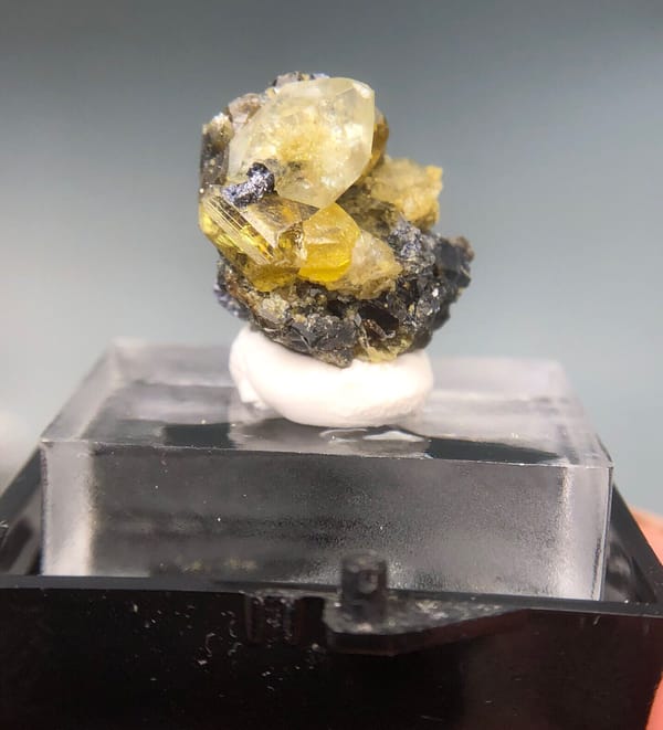 Golden Sphalerite with Apophyllite and Galena