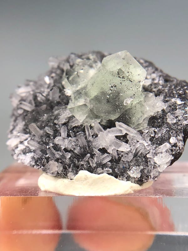 Fluorite from Fujian, China, individual mineral specimen view 2