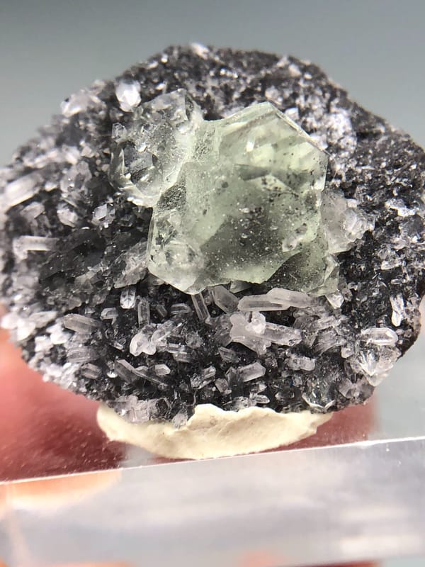 Fluorite from Fujian, China, individual mineral specimen view 3