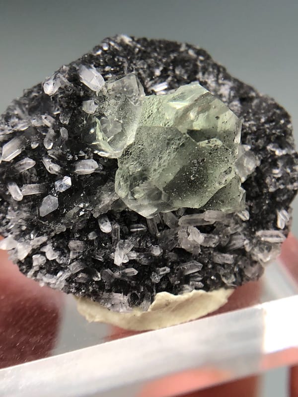 Fluorite from Fujian, China, individual mineral specimen view 4