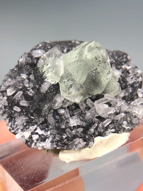 Fluorite from Fujian, China, individual mineral specimen view 5